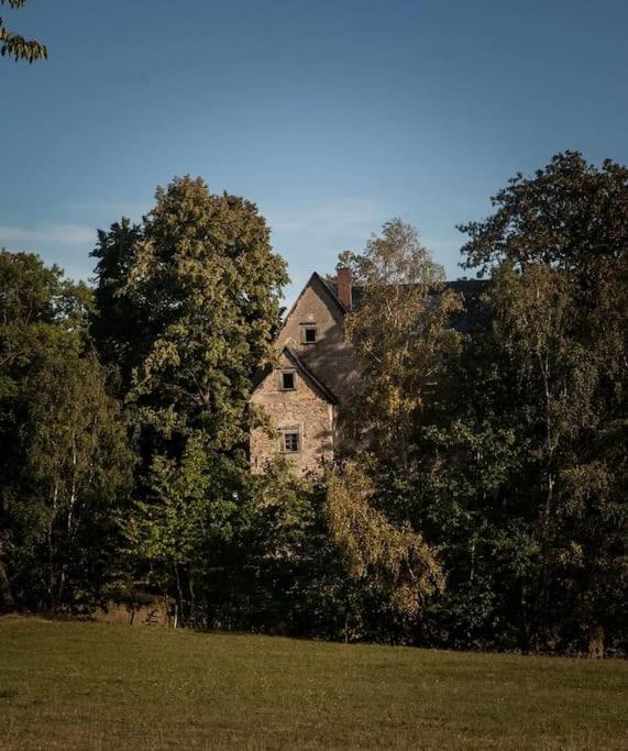 Maciejowiec Castle Hill Apartment I מראה חיצוני תמונה